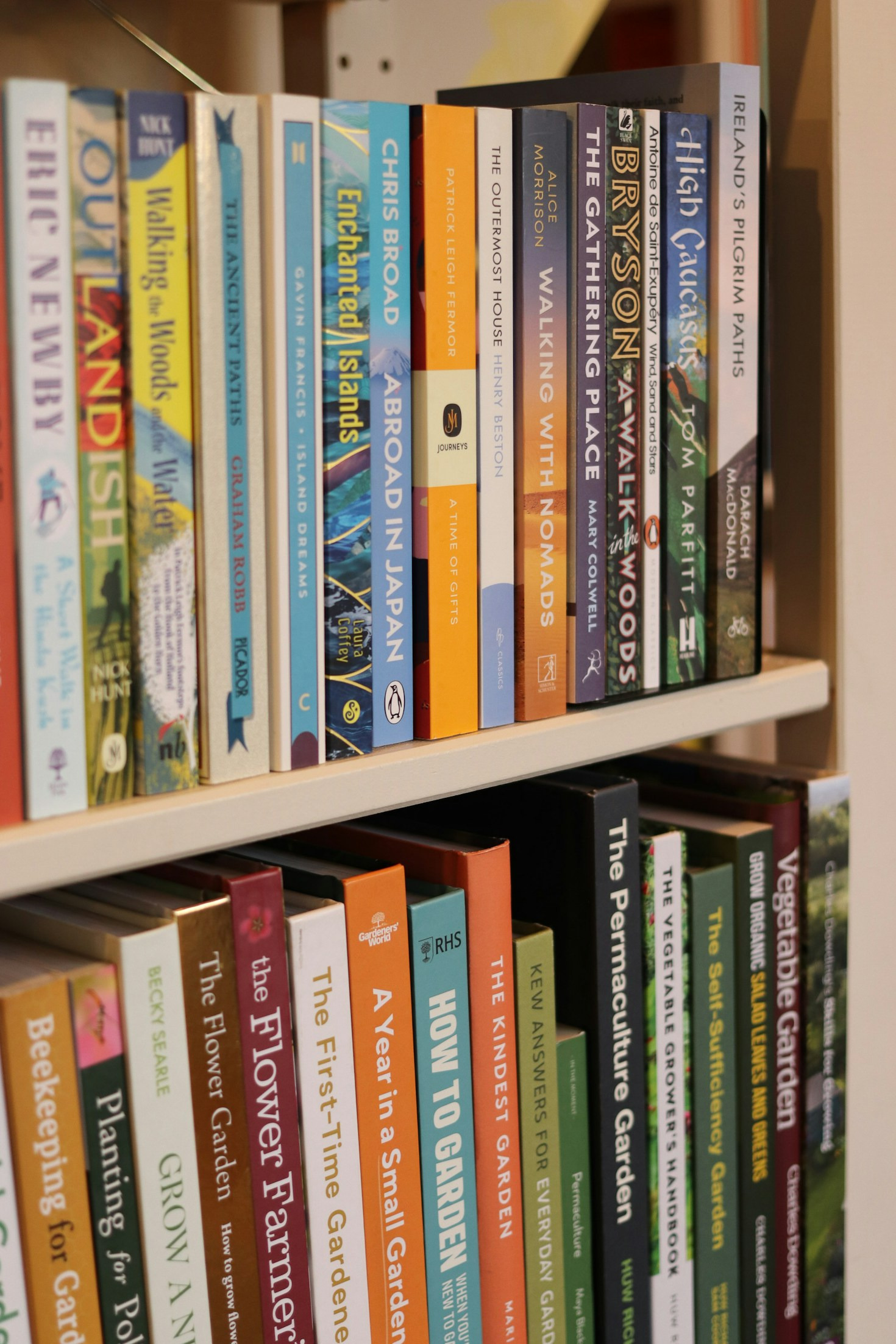 Challenge Yourself with Our Customized Tests