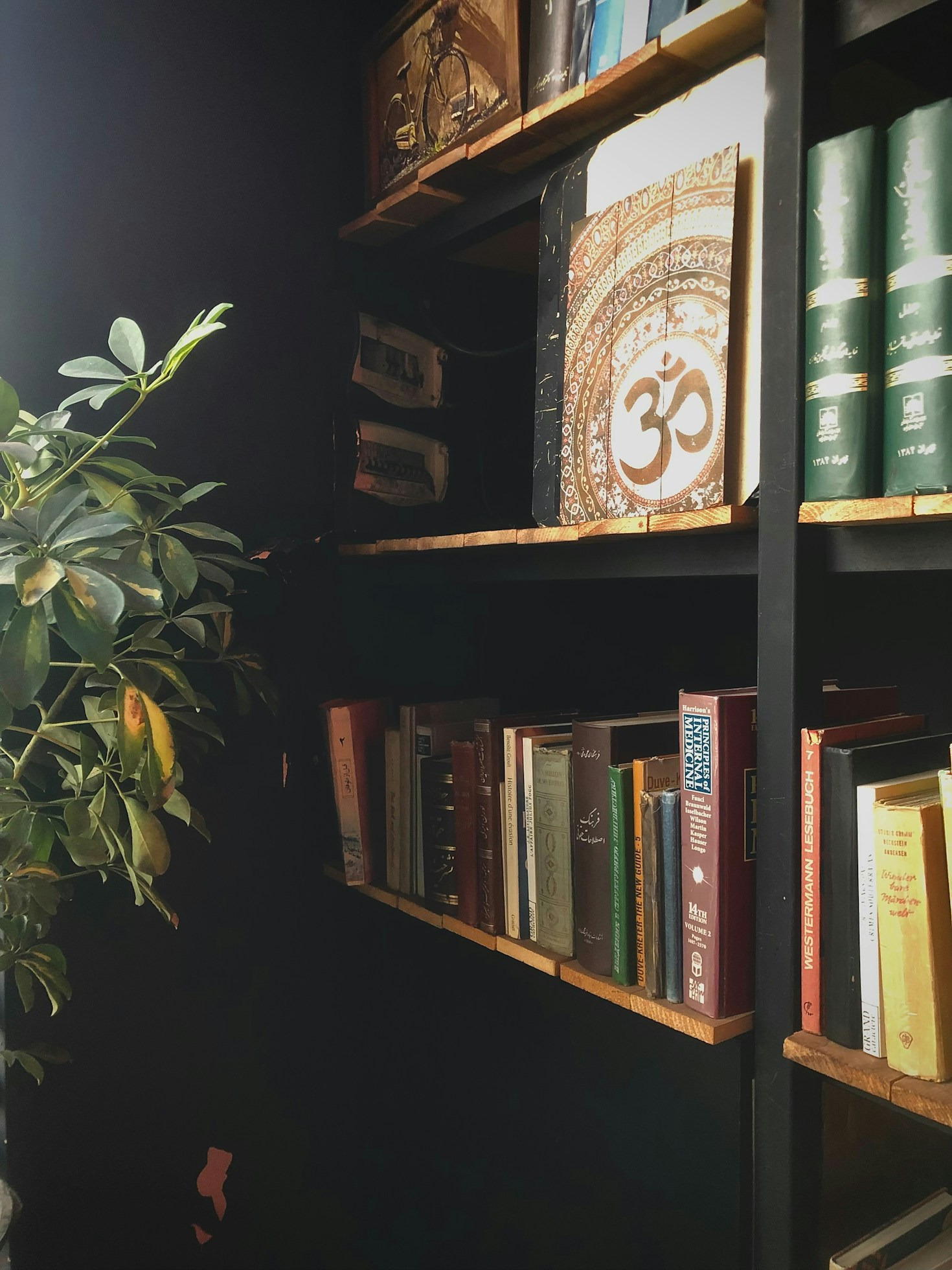 Interactive Tutorials: A New Way to Study